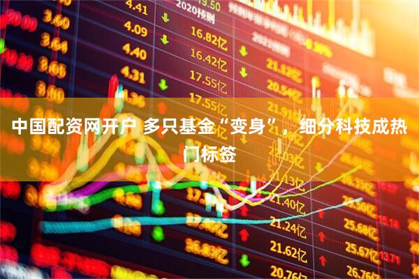 中国配资网开户 多只基金“变身”，细分科技成热门标签